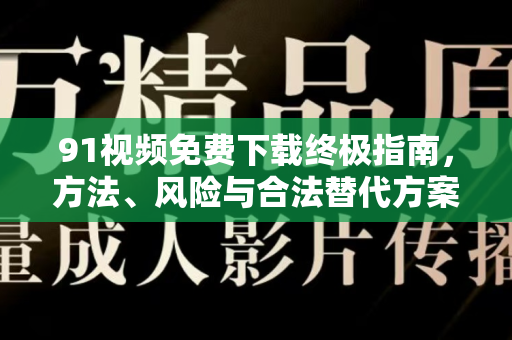 91视频免费下载终极指南，方法、风险与合法替代方案-第1张图片-91视频站-免费高清下载